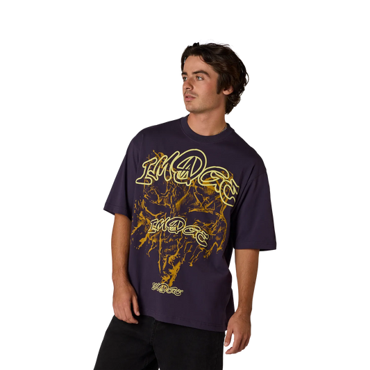 Image Print Midweight Tee