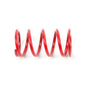 EPI Primary Clutch Spring (Drive) - 279035