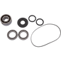 Differential Bearing & Seal Kits