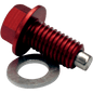 Magnetic Drain Bolt