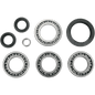 Differential Bearing & Seal Kits