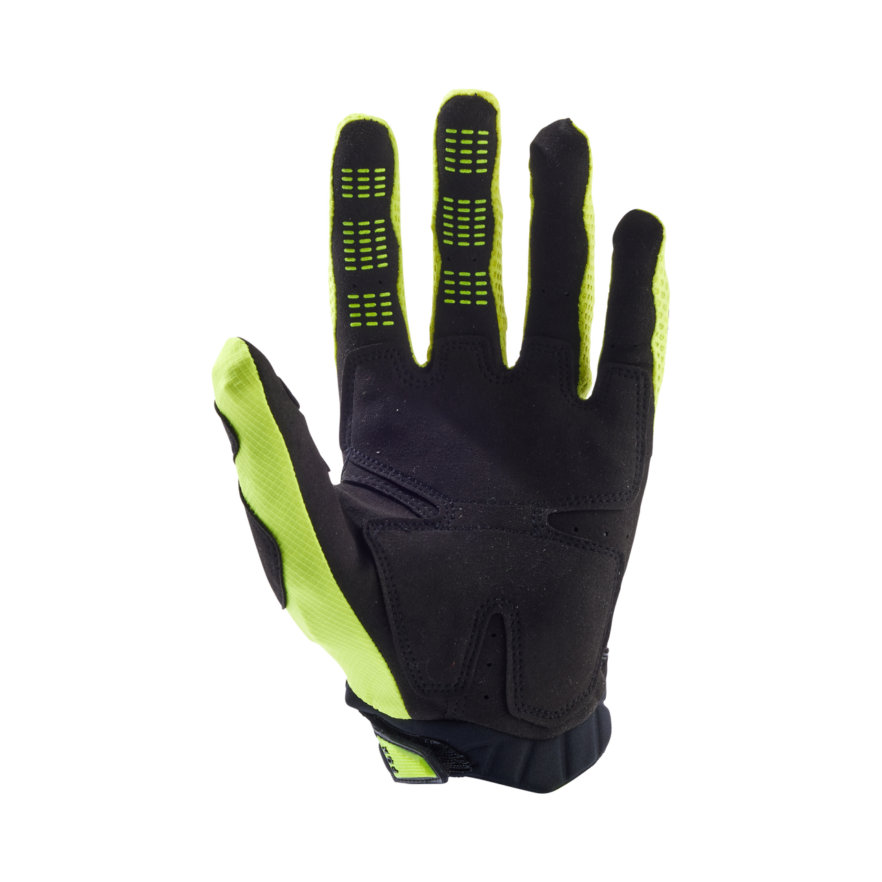 Pawtector Gloves
