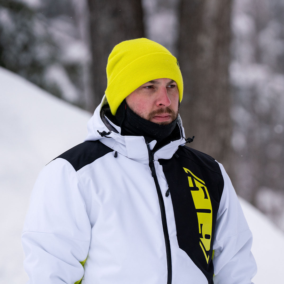 Sledhart Beanie
