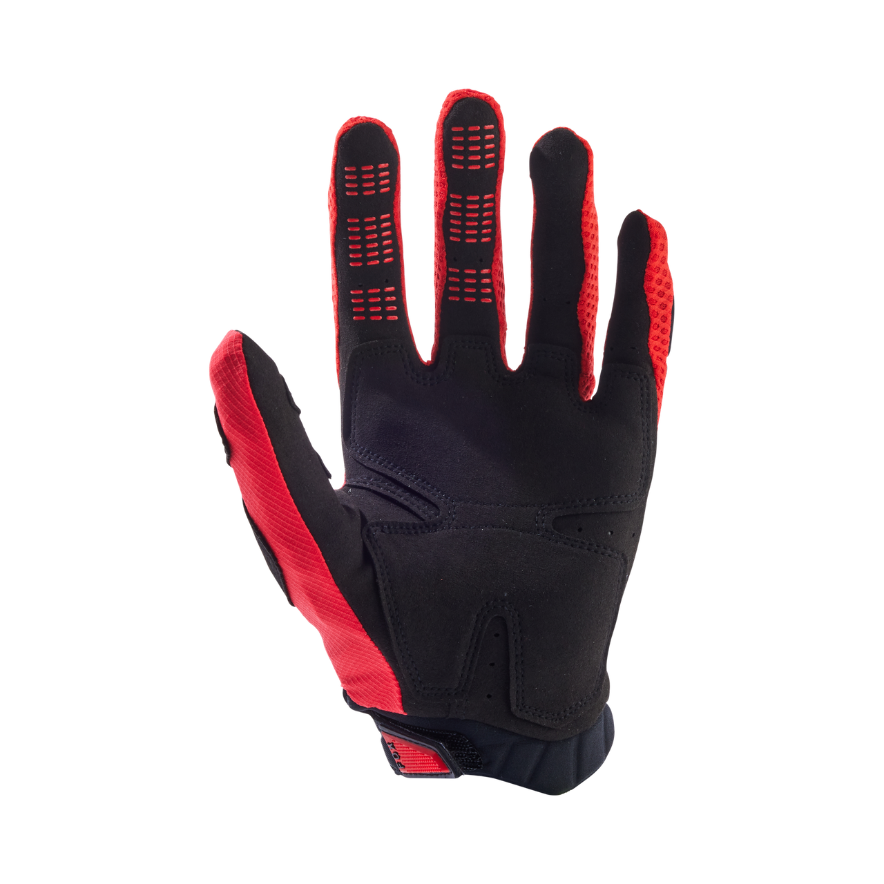 Pawtector Gloves