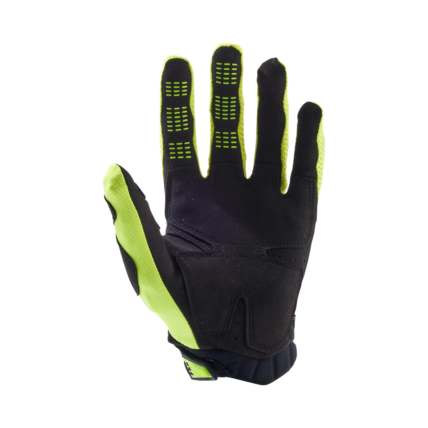 Pawtector Gloves
